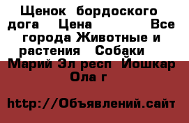 Щенок  бордоского  дога. › Цена ­ 60 000 - Все города Животные и растения » Собаки   . Марий Эл респ.,Йошкар-Ола г.